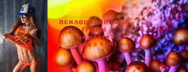 дживик Киреевск