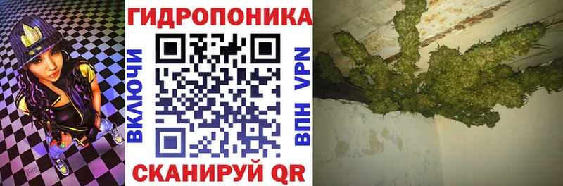 закладки  Краснозаводск  Конопля LSD WEED 